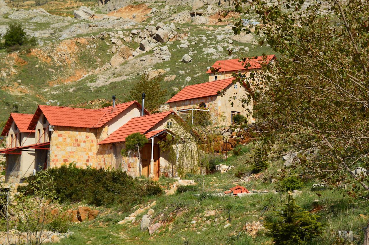 Soha Village Resort Fālūghā Quarto foto